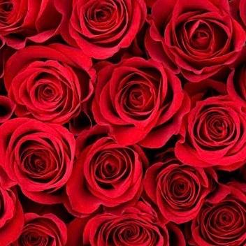 Valentine’s Day Indulgence 💓