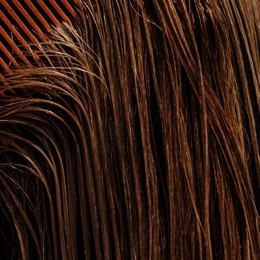 Brazilian Blowout